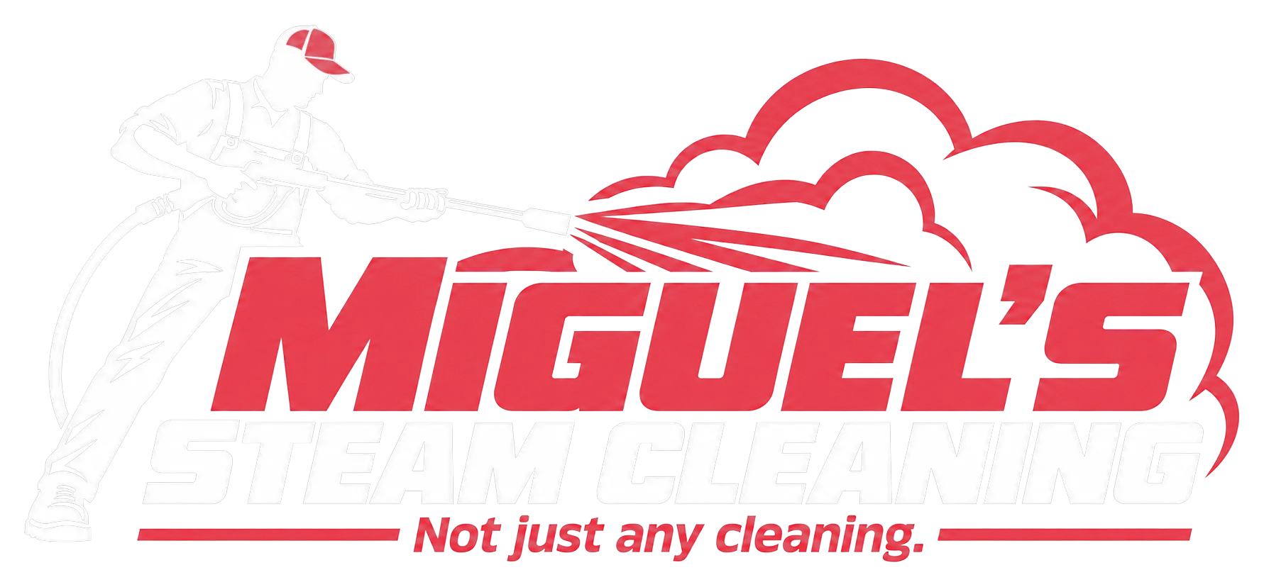 Miguel's Steam Cleaning